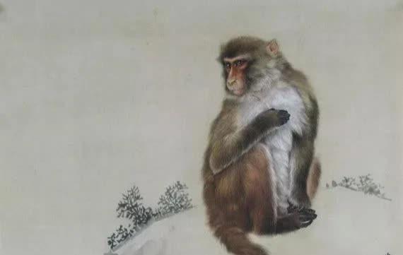 Tử vi hàng ngày 12 con giáp thứ Sáu 22/7/2022: Dần, Mão, Mùi khởi sắc-3