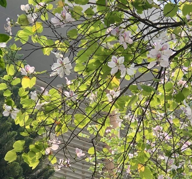 3 dấu hiệu cho thấy vận may tiền bạc bùng nổ bất ngờ 6 tháng tới-1