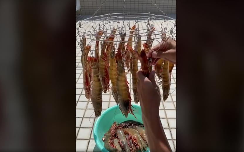 Cô gái thí nghiệm làm món tôm 1 nắng khiến dân mạng mắng vốn-1