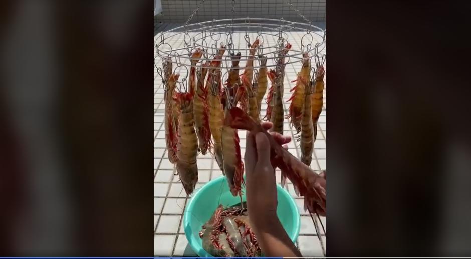 Cô gái thí nghiệm làm món tôm 1 nắng khiến dân mạng mắng vốn-2