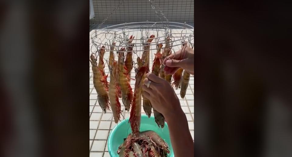 Cô gái thí nghiệm làm món tôm 1 nắng khiến dân mạng mắng vốn-3