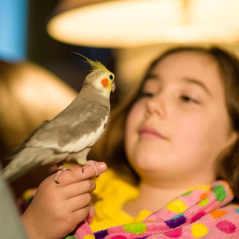 3 vật nuôi quen thuộc hóa giải vận đen, thu hút tài lộc tháng cô hồn-1