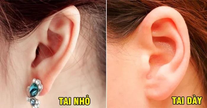 Nhìn hình dáng tai biết ngay cuộc đời phú quý hay bần hèn-2