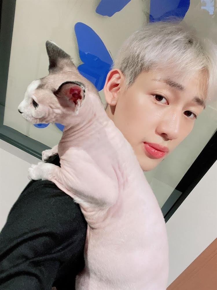 Dàn thú cưng độc lạ của các idol Kpop-1