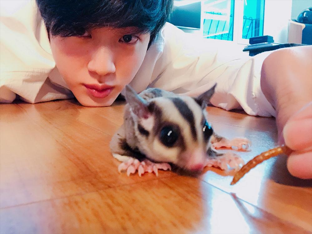 Dàn thú cưng độc lạ của các idol Kpop-2