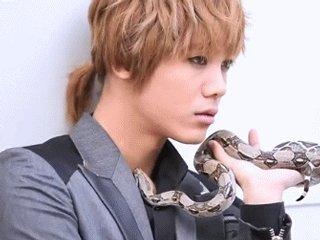 Dàn thú cưng độc lạ của các idol Kpop-5