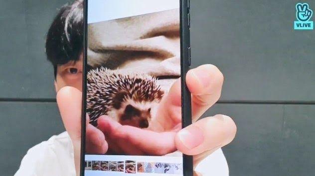 Dàn thú cưng độc lạ của các idol Kpop-3