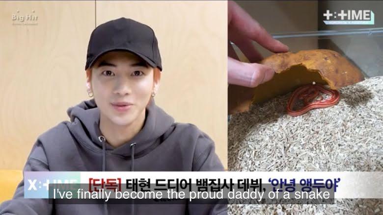 Dàn thú cưng độc lạ của các idol Kpop-4