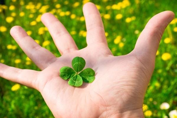 Tử vi hàng ngày 12 con giáp thứ Ba 26/7/2022: Dậu vận đỏ như son-5