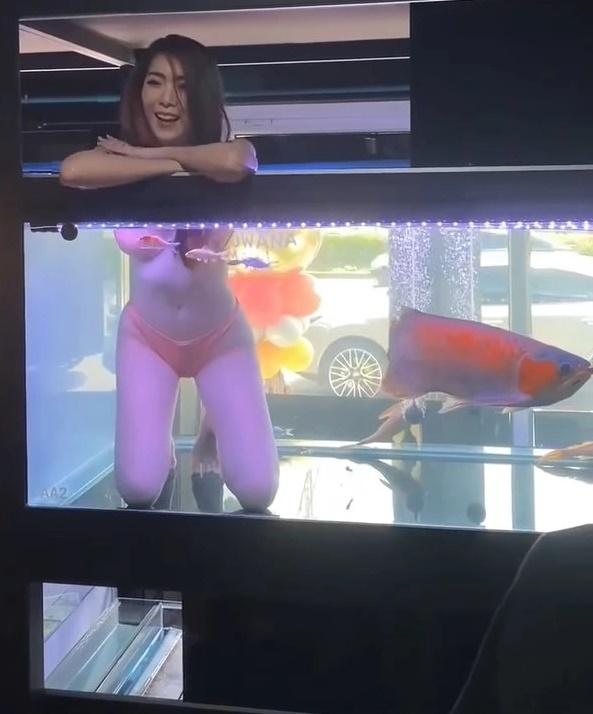 Cửa hàng để các cô gái mặc hở hang ngâm mình trong bể cá-1