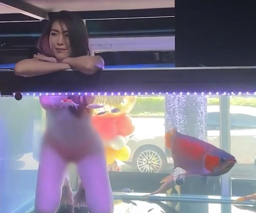 Cửa hàng để các cô gái mặc hở hang ngâm mình trong bể cá-3