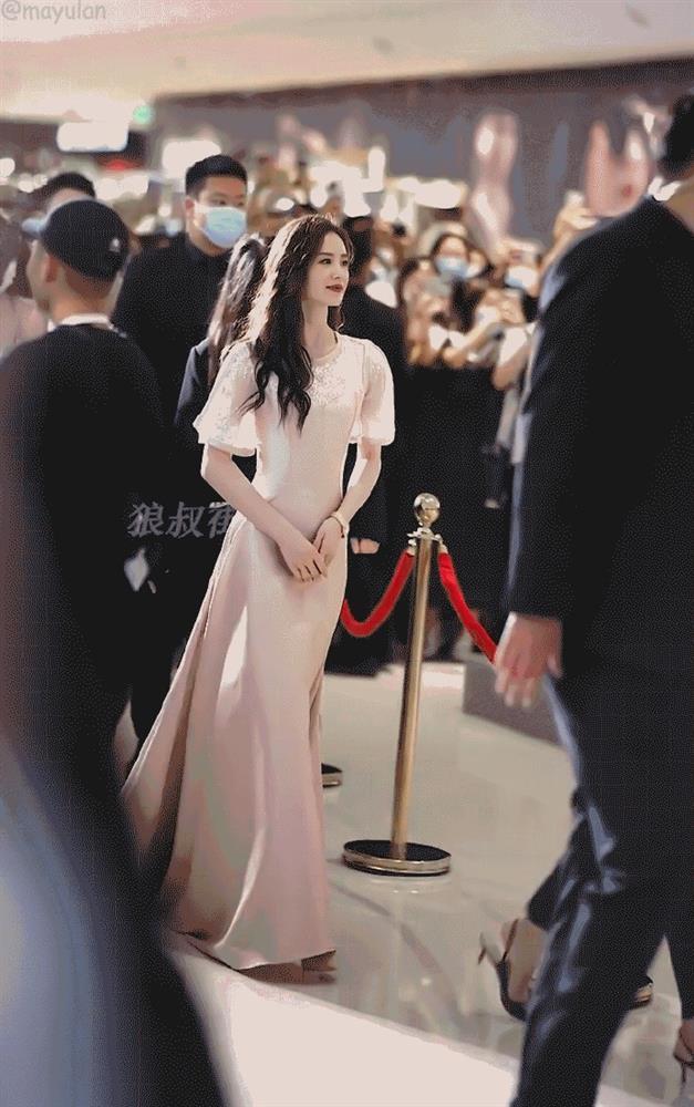 Dàn tiểu hoa 8x: Triệu Lệ Dĩnh bị chê ít học nhưng thành công nhất-18