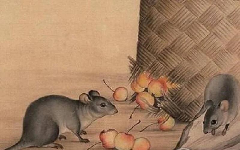 3 tuổi vướng Kim Lâu năm 2023 chỉ cầu bình an chớ mong tích lũy-1