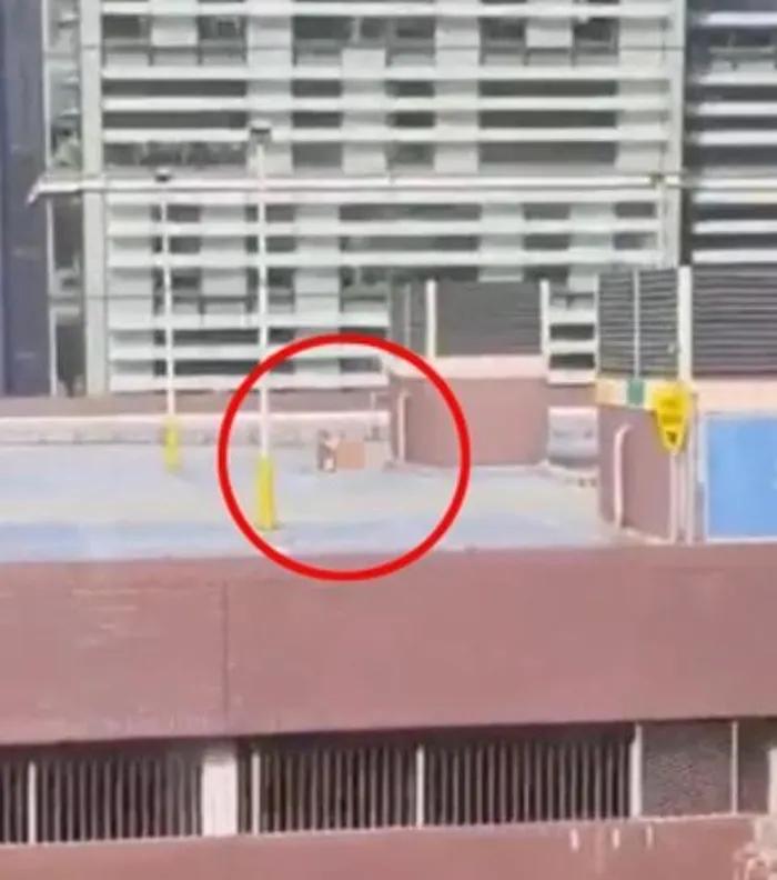 Cặp đôi mây mưa trên sân thượng giữa trưa nắng gần 50 độ C-1