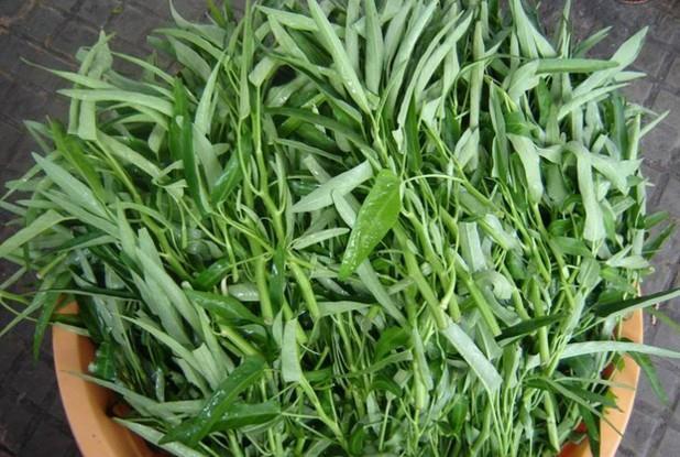 5 loại rau dễ tắm đẫm hóa chất ngoài chợ-4