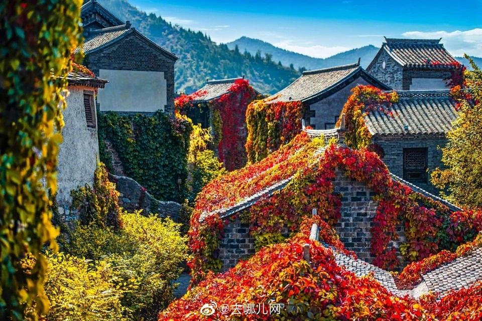 Nao lòng vẻ đẹp của thủy trấn mệnh danh Ô Trấn của Bắc Kinh-4