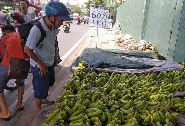 Loại quả rẻ tiền có thể chống lại kẻ giết người lớn nhất thế giới-1