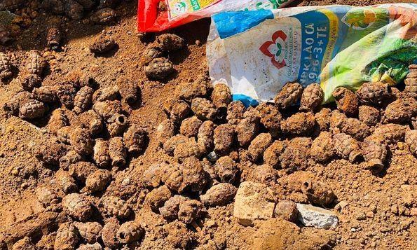 Bất ngờ phát hiện hơn 1 tấn đạn, pháo khi đào móng xây nhà-2