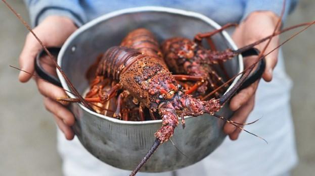 4 nhóm thực phẩm người mắc cúm A nên ăn ngay để tăng sức đề kháng-1