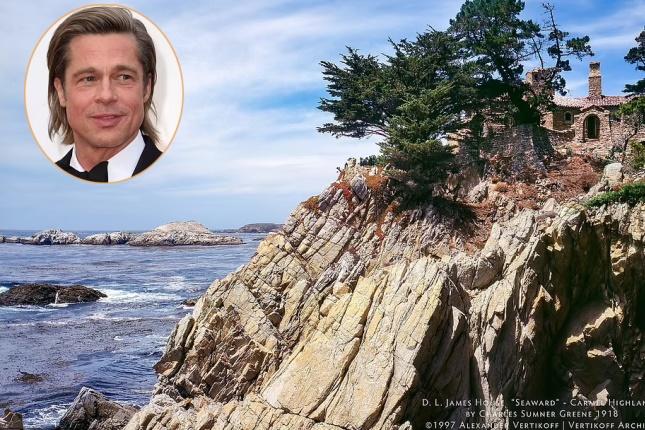 Brad Pitt đang hẹn hò-3