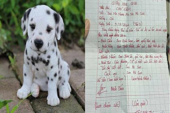 10X khoe giấy khai sinh tự soạn cho chó, rưng rưng nhớ kỷ niệm tuổi thơ