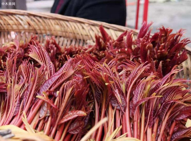 Top món ăn tranh cãi nhất Trung Quốc: Món cuối dân nhậu cực ghiền-4