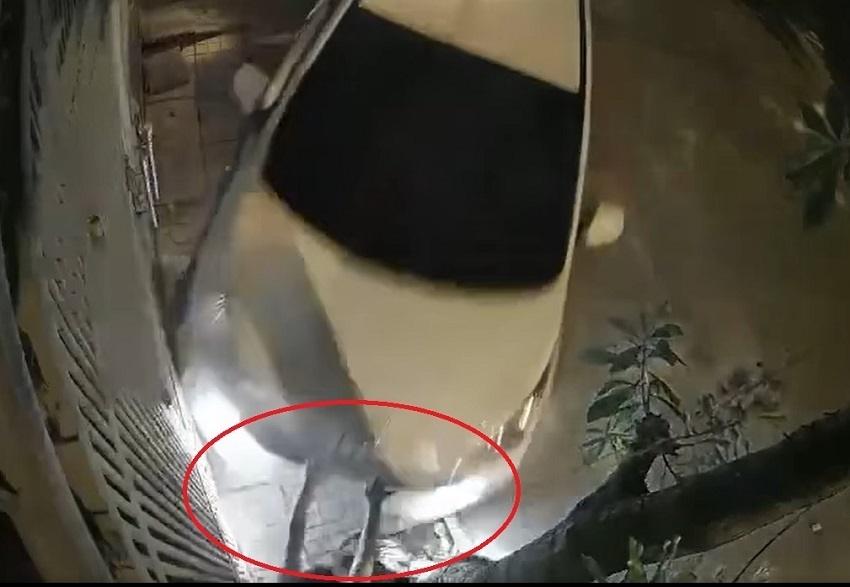 Hú hồn ô tô chồm lên nuốt chửng cô gái ra tín hiệu di chuyển-2