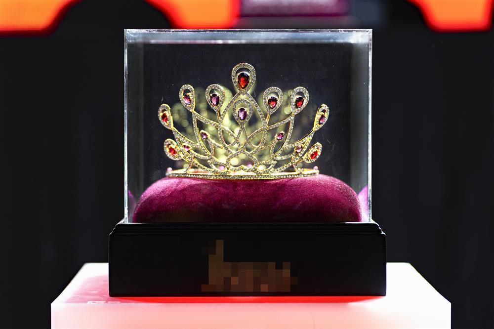 Vương miện Miss Fitness Vietnam hơn 2 tỷ nghi đạo nhái, BTC nói gì?-3