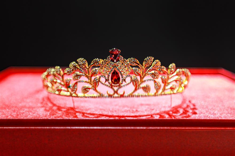 Vương miện Miss Fitness Vietnam hơn 2 tỷ nghi đạo nhái, BTC nói gì?-5