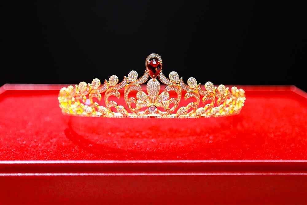 Vương miện Miss Fitness Vietnam hơn 2 tỷ nghi đạo nhái, BTC nói gì?-6