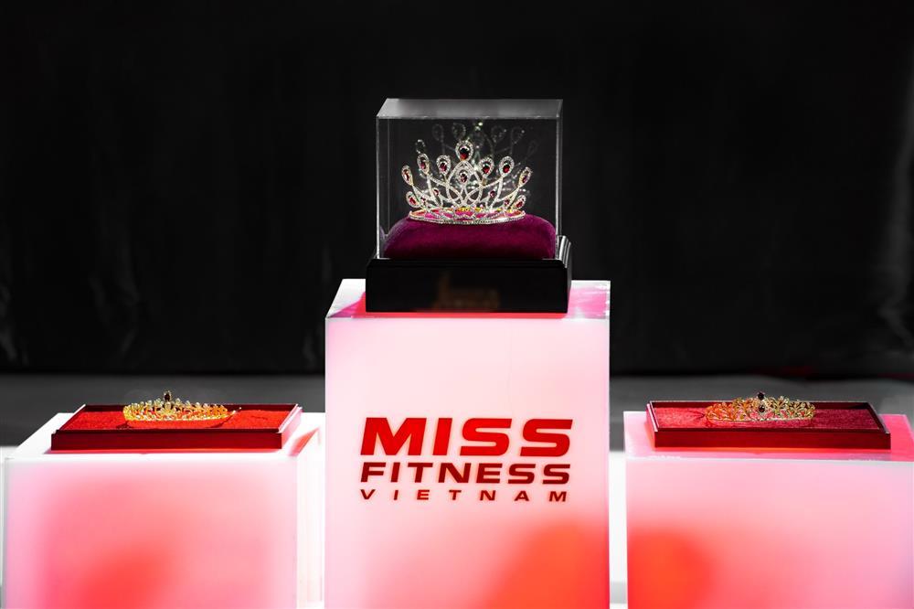 Vương miện Miss Fitness Vietnam giống vương miện Thư Dung?-1