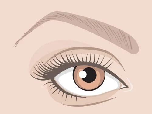 6 tướng người quý nhân phù trợ, phúc khí sâu dày, gặp hung hóa cát-2