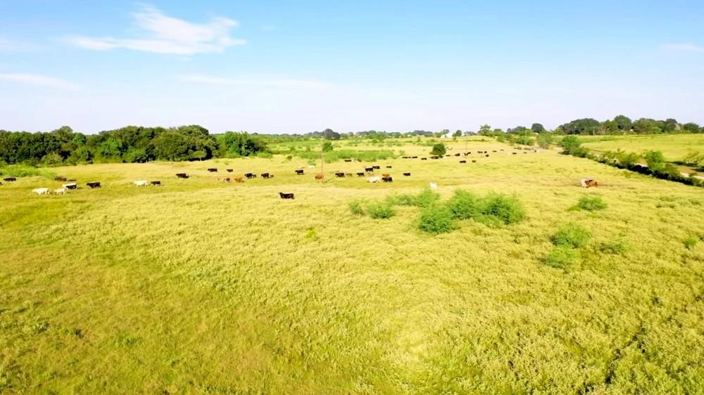 Vương Phạm chia sẻ hành trình khởi nghiệp từ đáy xã hội-4