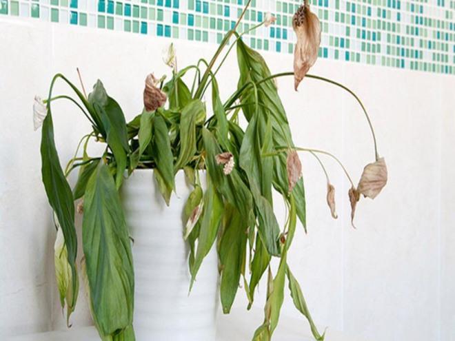 Đầu tháng cô hồn có 5 thứ cần phải vứt thẳng tay-2