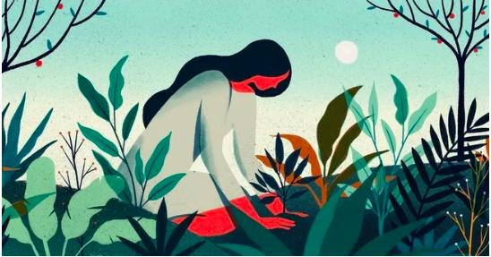 Ngày ra mắt, câu nói của mẹ chồng tương lai khiến cô gái hủy đám cưới-2