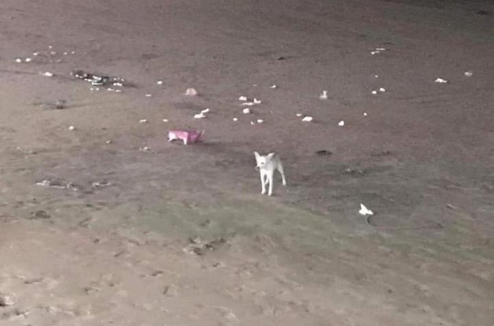 Ảnh đoàn người vui chơi trên biển, để lại cảnh tượng xấu xí khi rời đi-2