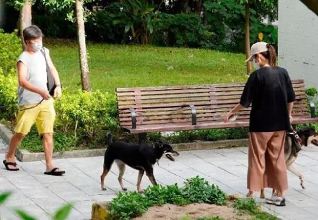 Á hậu Huỳnh Tâm Dĩnh sau scandal giật chồng, bị tẩy chay giờ ra sao?-2