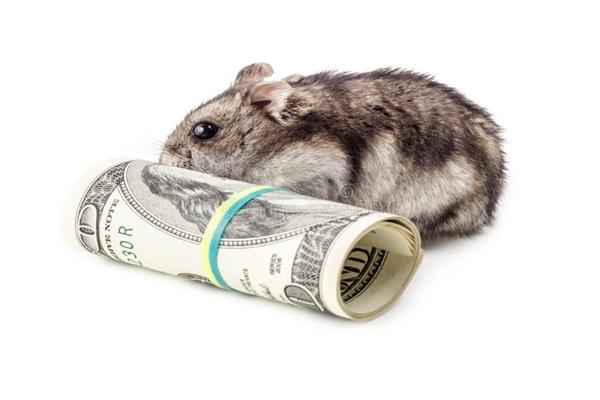 Tử vi hàng ngày 12 con giáp thứ Tư 3/8/2022: Mùi lao dốc không phanh-4