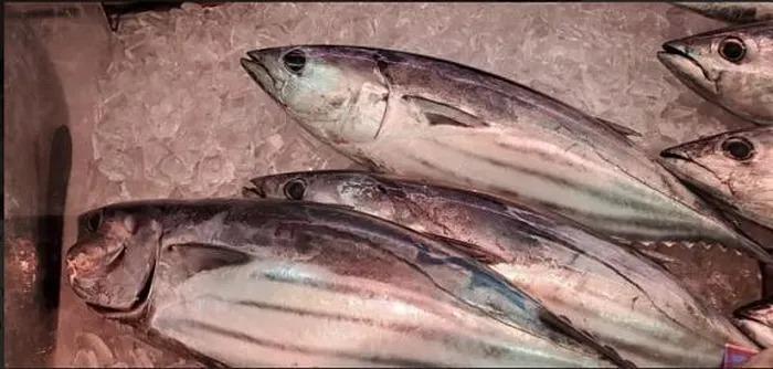 Kinh ngạc món ăn mầm đá, phủ mốc song cực bổ dưỡng-2