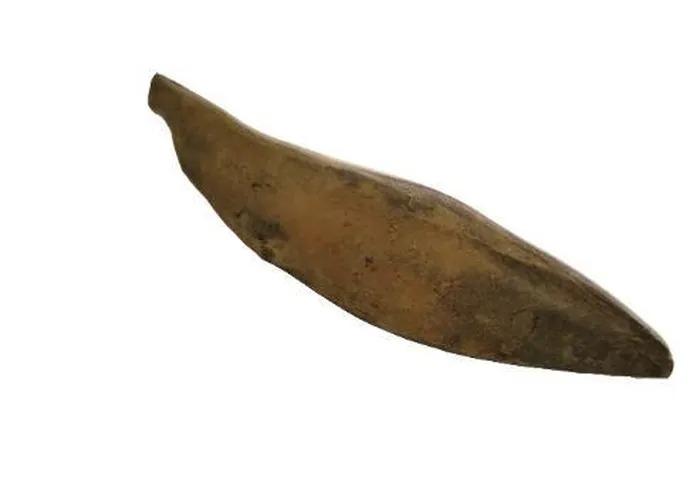 Kinh ngạc món ăn mầm đá, phủ mốc song cực bổ dưỡng-8