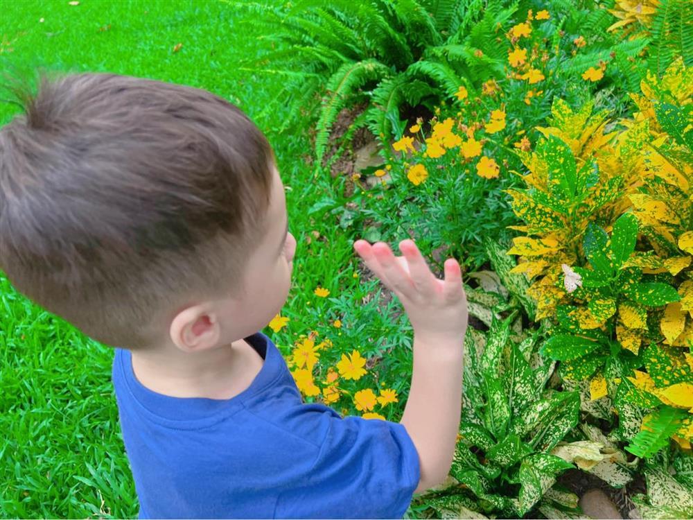 Tin showbiz Việt ngày 31/7: Con trai Hoàng Oanh ra dáng soái ca nhí-3