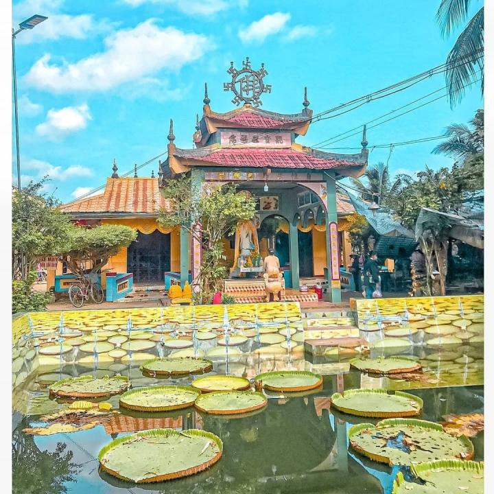 Ngôi chùa có hồ sen mọc lên từ hố bom, lá sen khổng lồ đỡ cả người-2