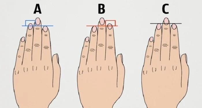 Trắc nghiệm: Độ dài ngón tay tiết lộ gì về tính cách, vận mệnh của bạn?-1