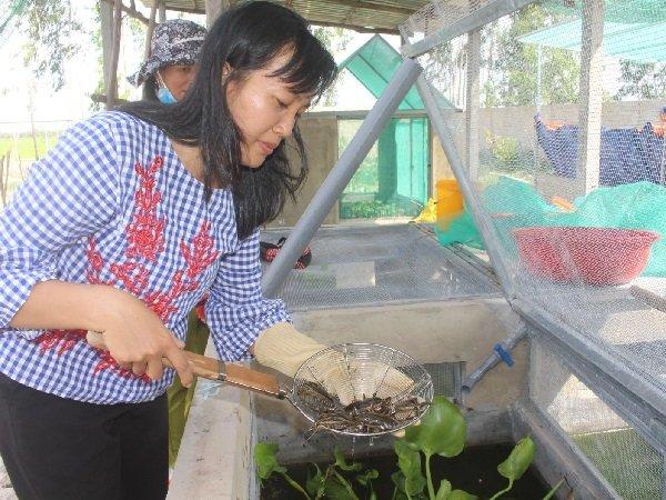 Nghề lạ Việt Nam: Nuôi loài nhìn thì sợ nhưng thu nhập 50 triệu/tháng-1