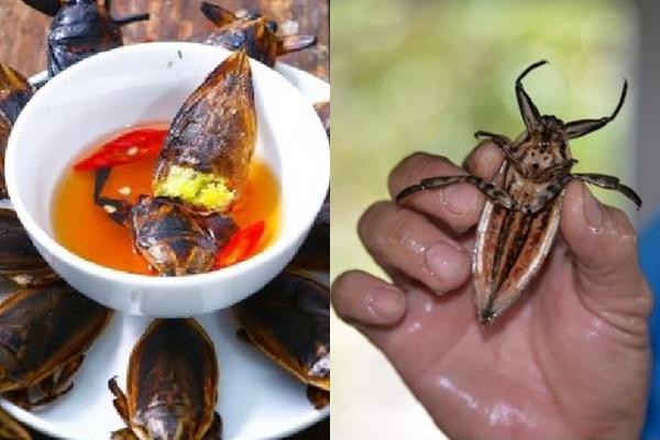 3 nghề lạ lương cực cao trên thế giới, Việt Nam cũng góp mặt-2