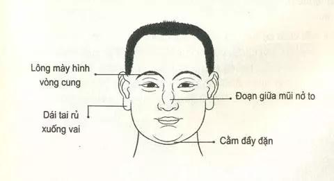 Nhìn mặt bắt hình dong: Tướng mặt chọn chồng chuẩn nhà người ta-5