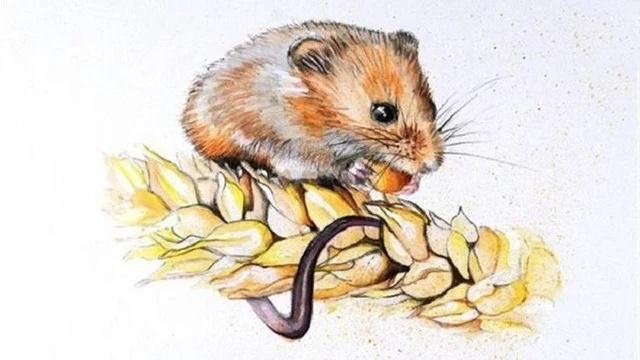 Bồ Tát hộ mệnh: 4 con giáp kiếm tiền như nước trong 5 năm tới-4