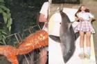 Vlogger ăn thịt cá mập trắng đối diện án tù 5 năm