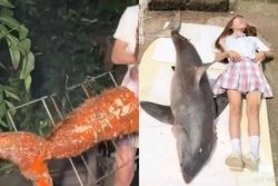 Vlogger ăn thịt cá mập trắng đối diện án tù 5 năm