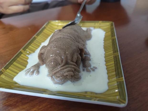 Món thạch cún con giống thật đến nỗi thực khách không dám ăn-1